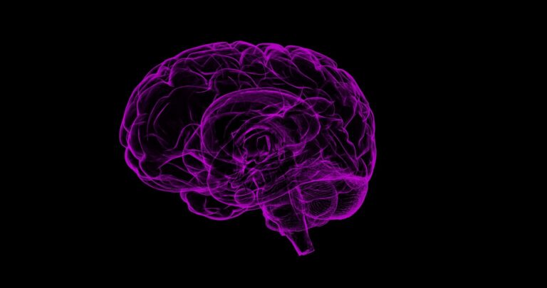 new-study-challenges-link-between-contact-sports-and-brain-protein-buildup