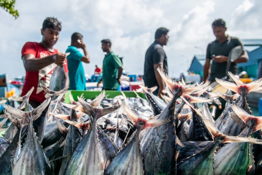 ocean-acidification-crisis-demands-immediate-global-action