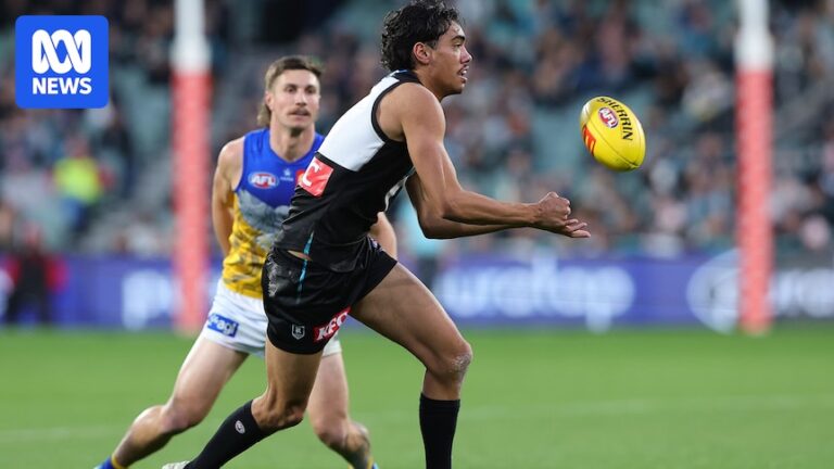 port-adelaide-condemns-racist-abuse-and-threats-against-jase-burgoyne