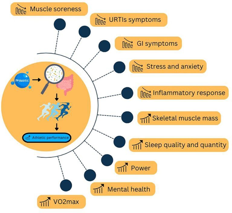 probiotics-and-athletic-performance-potential-gains-and-remaining-questions