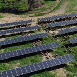 rapid-approval-of-solar-farm-highlights-need-for-environmental-law-reform