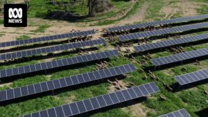rapid-approval-of-solar-farm-highlights-need-for-environmental-law-reform