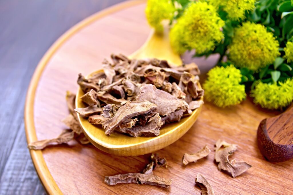 rhodiola-rosea-unveiling-the-science-behind-its-health-benefits