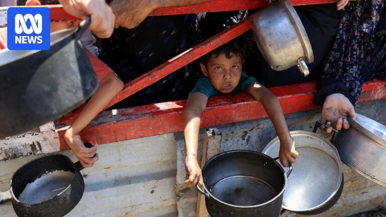 rising-starvation-in-gaza-15-dead-in-one-day-amid-aid-shortages