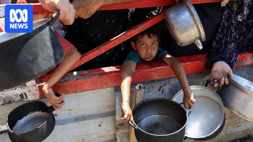 rising-starvation-in-gaza-15-dead-in-one-day-amid-aid-shortages