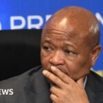 south-african-police-minister-suspended-amid-organised-crime-allegations