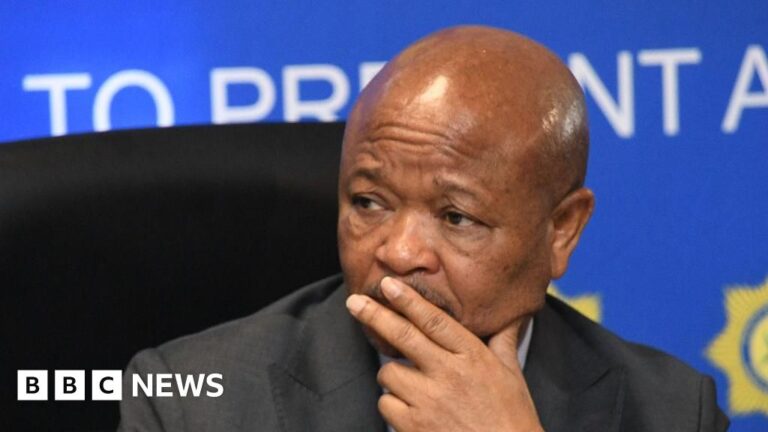 south-african-police-minister-suspended-amid-organised-crime-allegations