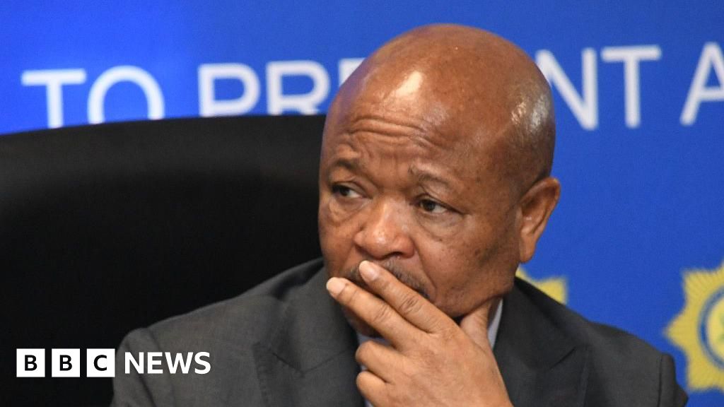 south-african-police-minister-suspended-amid-organised-crime-allegations