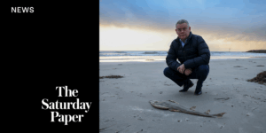 south-australia-s-algal-bloom-crisis-highlights-climate-change-impact
