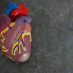 startups-selected-to-innovate-women-s-heart-and-brain-health