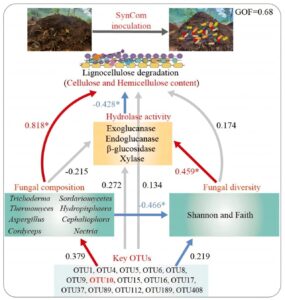 synthetic-microbial-communities-revolutionize-composting-and-crop-growth