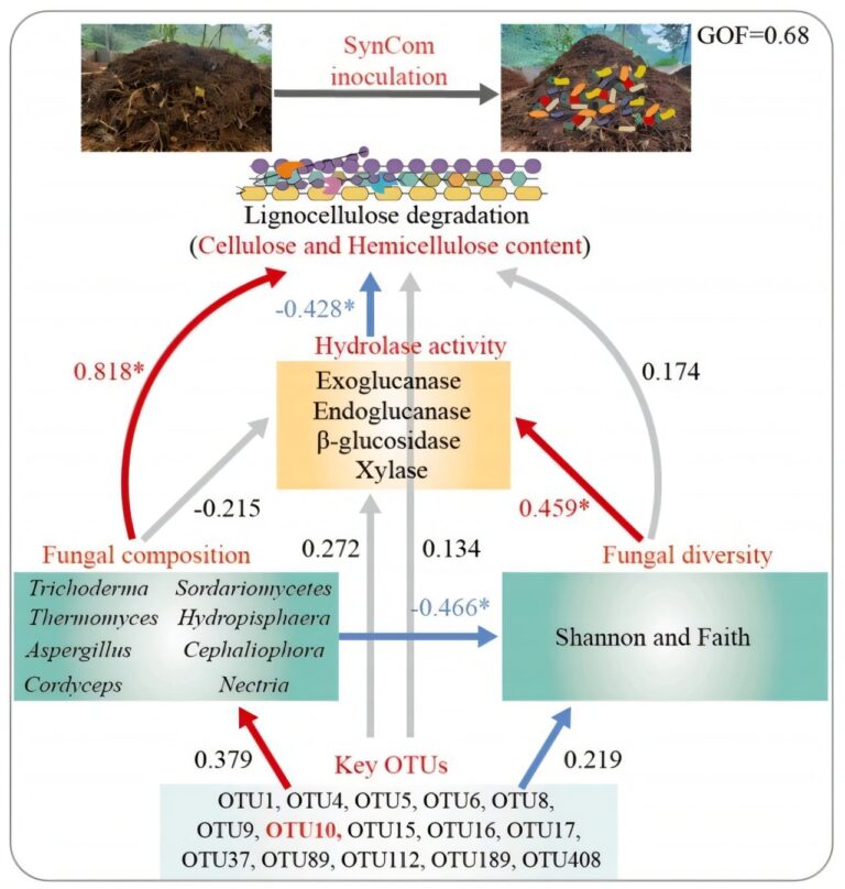 synthetic-microbial-communities-revolutionize-composting-and-crop-growth