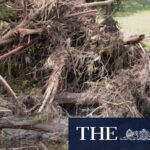 texas-floods-a-tale-of-tragedy-and-resilience