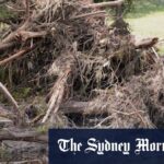 texas-floods-a-tragic-tale-of-nature-s-fury-and-human-resilience