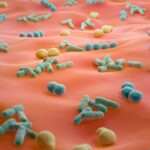 the-critical-role-of-microbial-culture-banks-in-modern-science