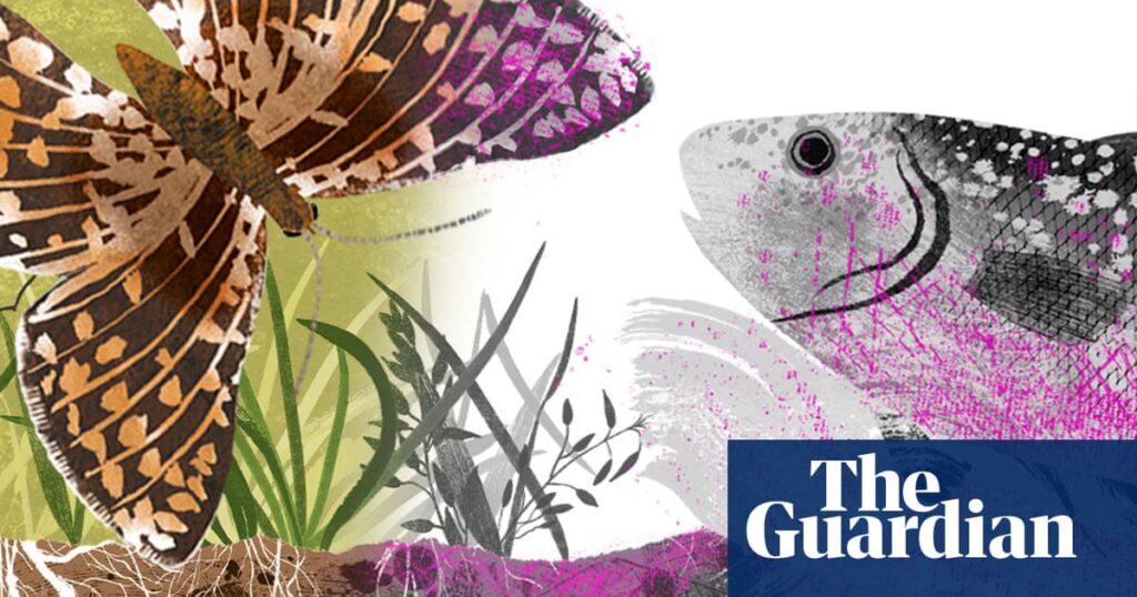 the-journey-of-microplastics-from-clothing-to-global-ecosystems
