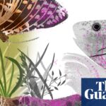 the-journey-of-microplastics-from-clothing-to-global-ecosystems