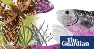 the-journey-of-microplastics-from-clothing-to-global-ecosystems
