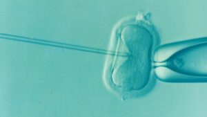 three-person-embryos-a-scientific-breakthrough-with-limited-impact-on-lgbtq-families