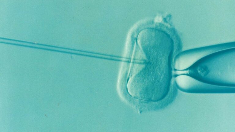 three-person-embryos-a-scientific-breakthrough-with-limited-impact-on-lgbtq-families