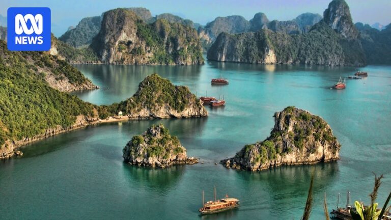 tragic-boat-capsize-in-ha-long-bay-claims-27-lives-dozens-missing