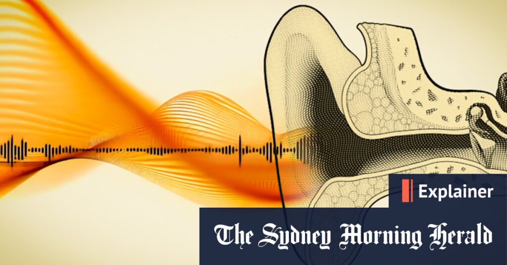understanding-hearing-loss-causes-impact-and-restoration