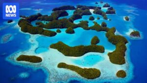 us-considers-sending-migrants-to-palau-amid-trump-s-deportation-efforts