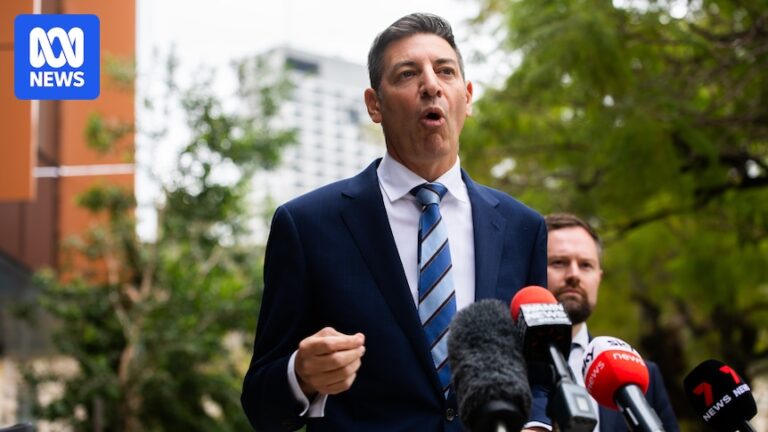 wa-liberal-party-pushes-to-abandon-net-zero-curtail-ceremonies