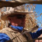 western-queensland-grazier-embraces-cropping-to-combat-drought