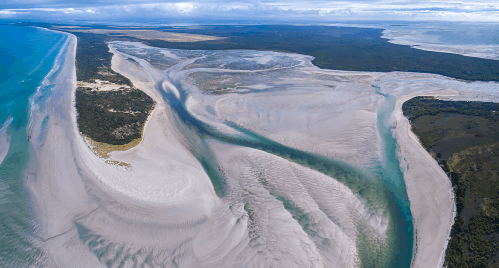 3-billion-robbins-island-wind-farm-approved-amidst-environmental-concerns