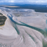3-billion-robbins-island-wind-farm-approved-amidst-environmental-concerns