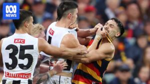 afl-faces-growing-pressure-to-eradicate-homophobic-slurs
