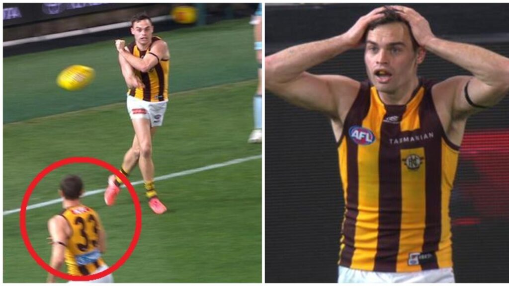afl-umpiring-controversy-sparks-debate-after-brisbane-s-win-over-hawthorn