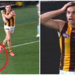 afl-umpiring-controversy-sparks-debate-after-brisbane-s-win-over-hawthorn
