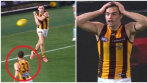 afl-umpiring-controversy-sparks-debate-after-brisbane-s-win-over-hawthorn