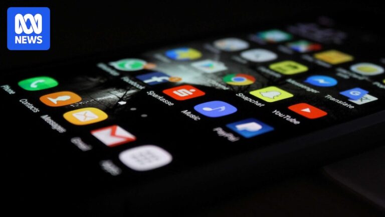 age-verification-on-social-media-feasible-but-fraught-with-challenges