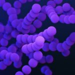 ai-unveils-new-frontiers-in-the-fight-against-antimicrobial-resistance