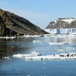 antarctic-climate-shifts-pose-global-threat-scientists-warn