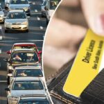 australian-driver-s-licence-ranks-low-in-global-power-study