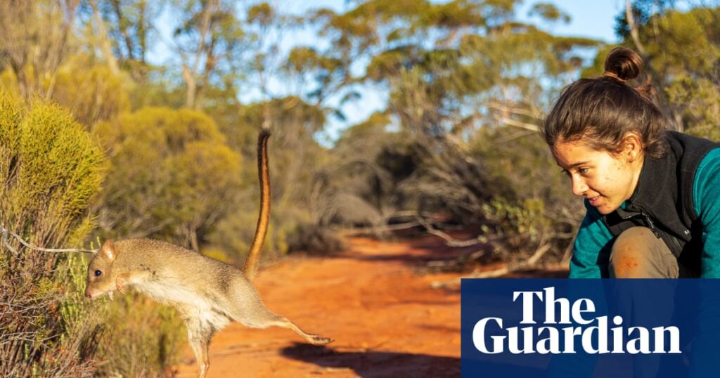 australian-wildlife-conservancy-s-bold-plan-for-5-land-conservation-by-2035