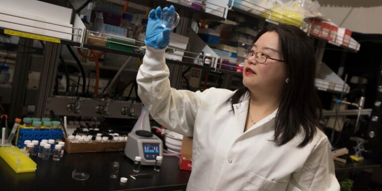 binghamton-researcher-secures-870k-grant-for-spinal-cord-injury-study