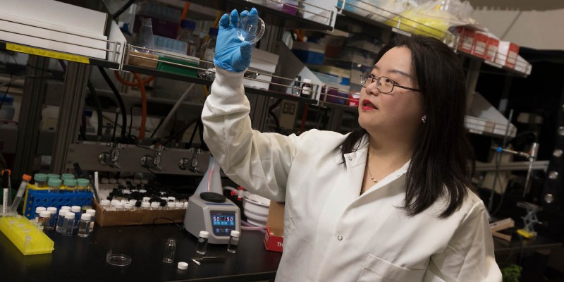 binghamton-researcher-secures-870k-grant-for-spinal-cord-injury-study
