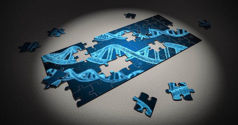 breakthrough-in-gene-editing-offers-hope-for-adult-inherited-deafness