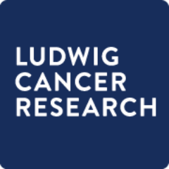 breakthrough-study-reveals-why-bone-metastases-resist-immunotherapy