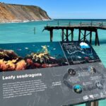 closure-of-rapid-bay-jetty-threatens-south-australia-s-dive-tourism