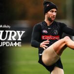 collingwood-faces-major-setbacks-with-key-players-ruled-out-for-season