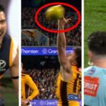 controversial-calls-ignite-debate-in-adelaide-vs-hawthorn-afl-clash