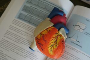 covid-19-may-accelerate-vascular-aging-especially-in-women-study-finds