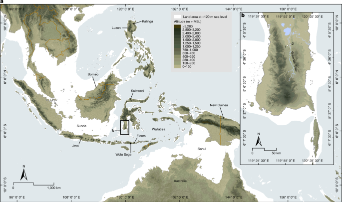 early-pleistocene-hominins-on-sulawesi-insights-from-palaeomagnetic-and-dating-analyses