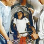 ethical-dilemmas-in-space-the-unprotected-journey-of-animals